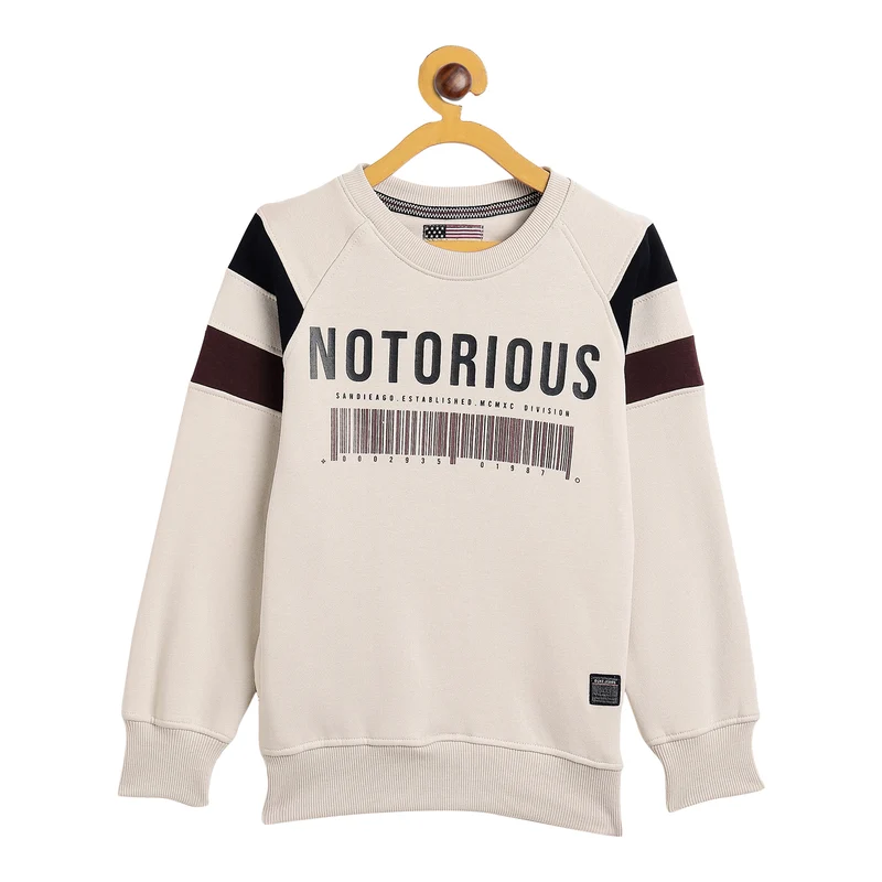 Duke Urban Boys Round Neck Sweatshirt (LF269) Fawn / 30 / Printed