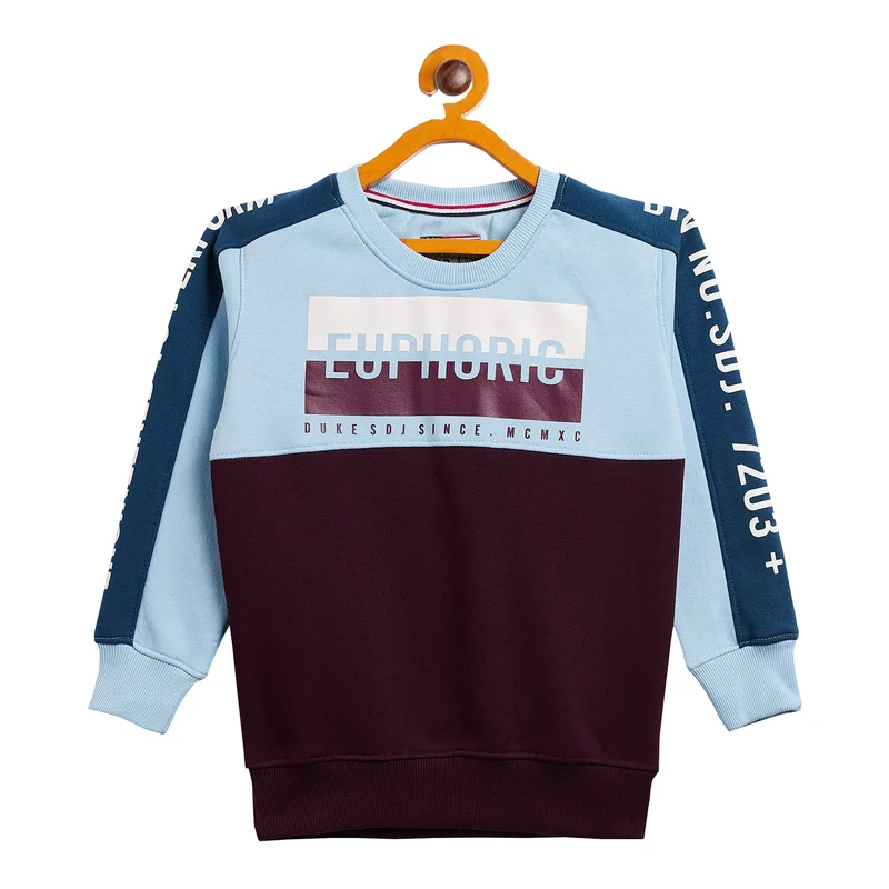 Duke Urban Boys Round Neck Sweatshirt (LF272) Powder Blue / 34 / Color Block