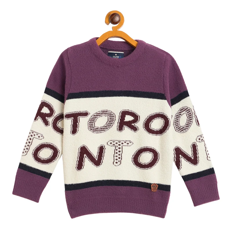 Duke Urban Boys Full Sleeve Round Neck Regular Sweater (SDS3633) Grape / 30 / Self Design