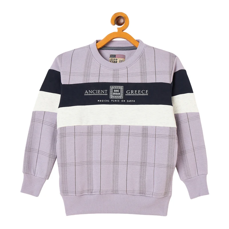 Duke Urban Boys Full Sleeve Hooded Sweatshirt (LF394) Lavender / 28 / Printed