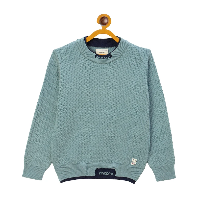 Duke Urban Boys Round Neck Full Sleeve Regular Sweater (S3639) Aqua / 32 / Self Design