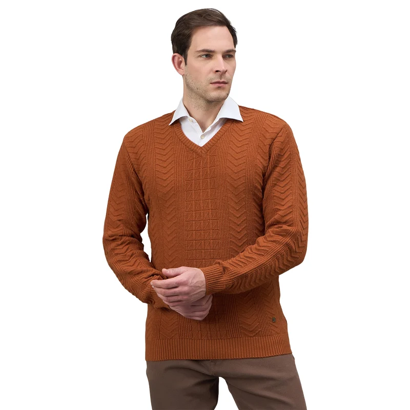 Duke Urban Men Full Sleeve V Neck Regular Sweater (SDS2353) Tan / M / Self design