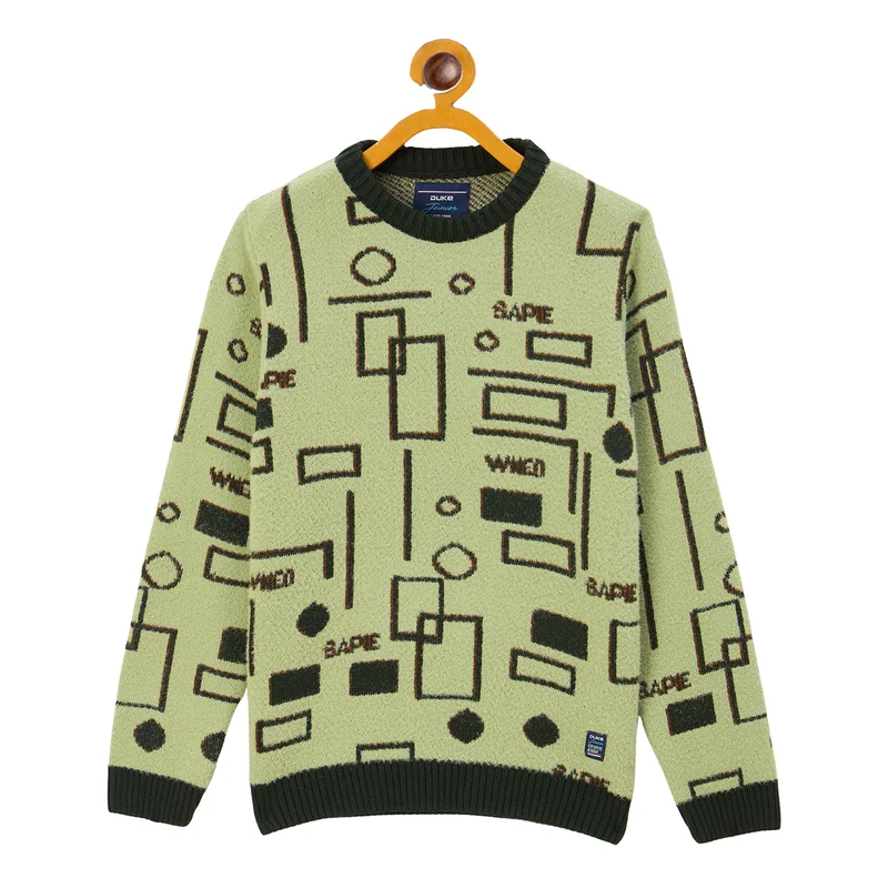 Duke Urban Boys Round Neck Full Sleeve Regular Sweater (S3604) L.Olive / 30 / Self Design
