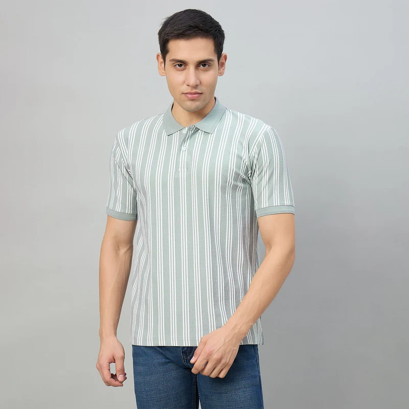Duke Men Half Sleeve Cotton Regualr Fit Casual T-shirt (LF7918) Cement / XL / Striped