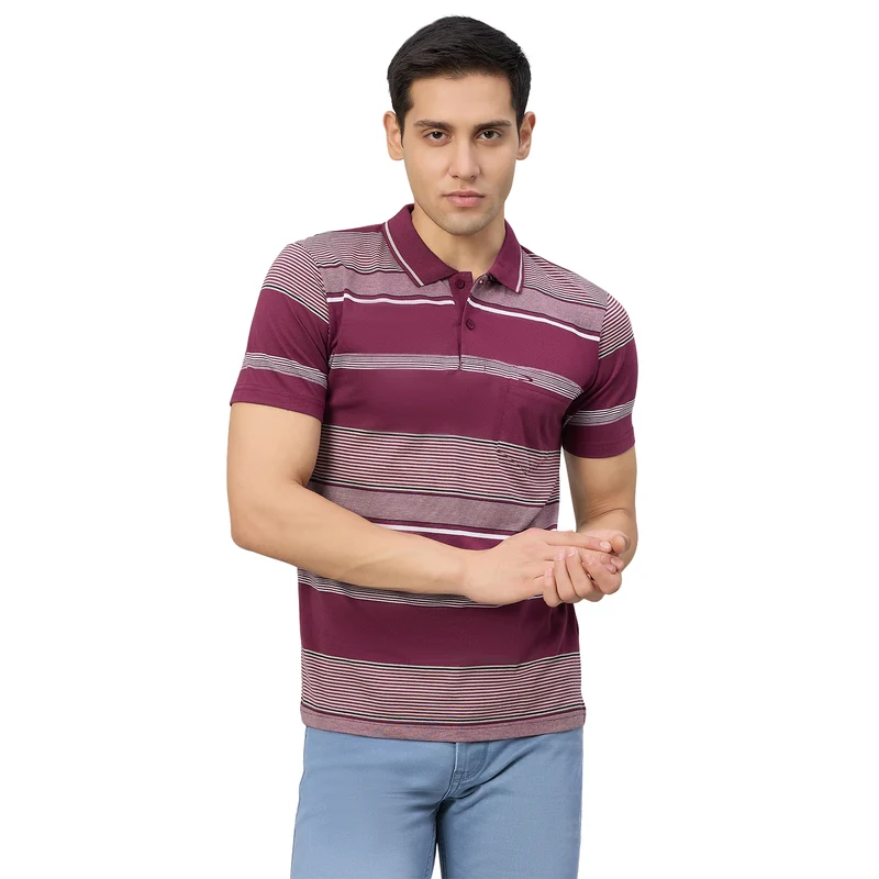 Duke Men Half Sleeve Cotton Regualr Fit Casual T-shirt (MLF1174) Wine / L / Striped