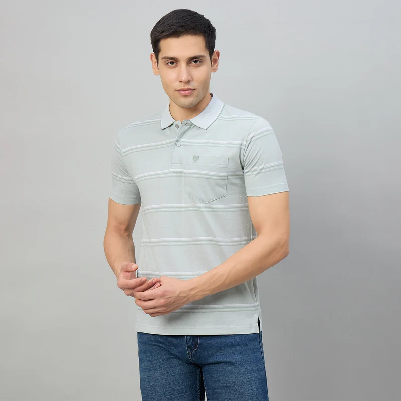 Duke Men Half Sleeve Cotton Regular Fit Casual T-shirt (LF7985) Mist Green / L / Striped