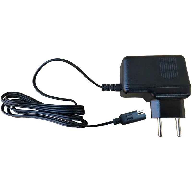 Carregador Bivolt Plug Plugue Bandeirantes 12v 900mah Carrinho Motinha Elétrica