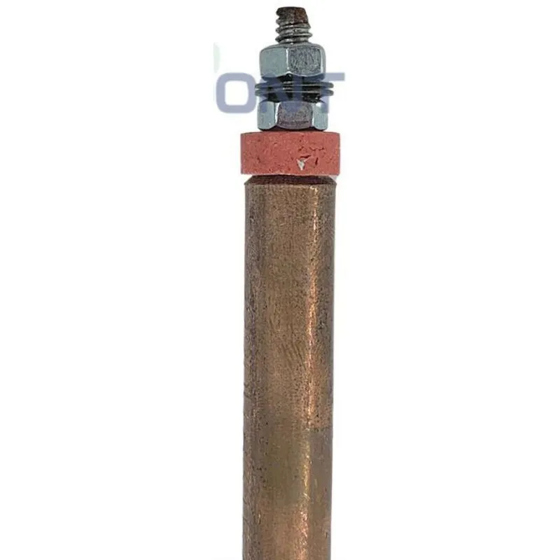 Resistência Autoclave Vitale Class 12 L Biv. 220v Cristófoli