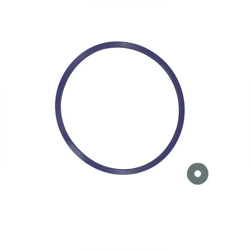 Guarnicao / Anel De Vedacao Autoclave Ecel 45 Lts Azul