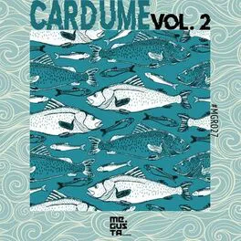 CARDUME ? 2