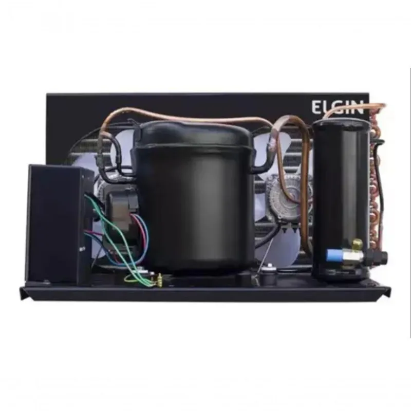 Unidade Condensadora Elgin 1hp R404 220v Mono Sem Tanque Ucp4160esi