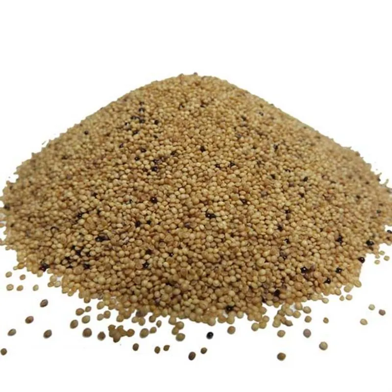 Amaranto em Grãos (Granel 1Kg)