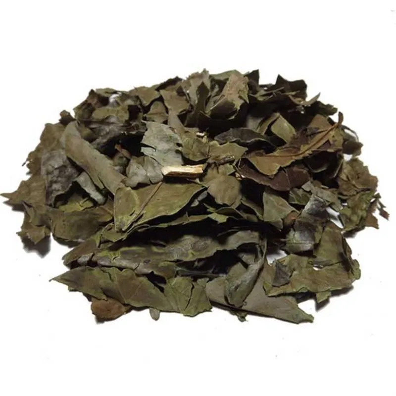 Chá Verde (Granel 1Kg)