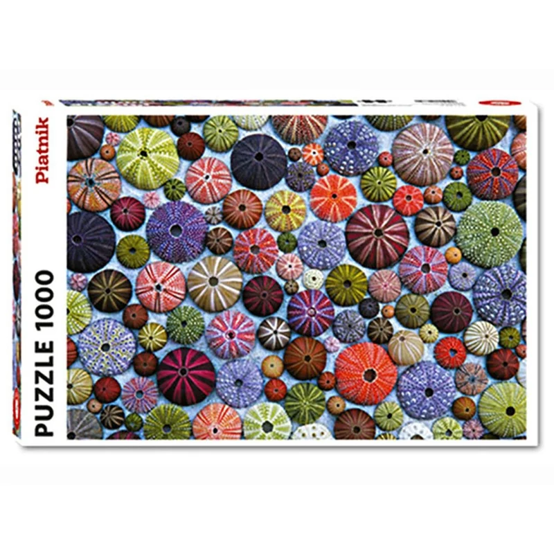 Piatnik - Sea-Urchin Shells 1000 Piece Puzzle