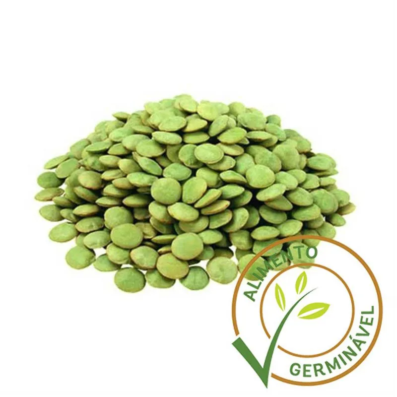 Lentilha Canadense (Granel 1Kg)
