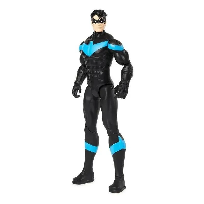 Nightwing 12 Pol - Sunny 002180