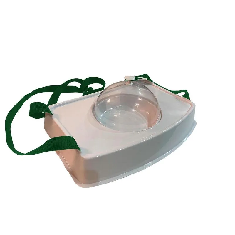 Bandeja Degustação Tampa Modelo Cloche Alça Na Cor Verde