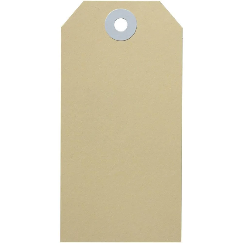 Avery 14100 Shipping Tag Size 4 108x54mm Buff Box 100 SuperOffice