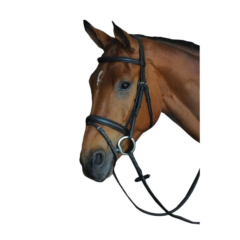 Collegiate CC Pad Raised Flash Bridle Black / Full