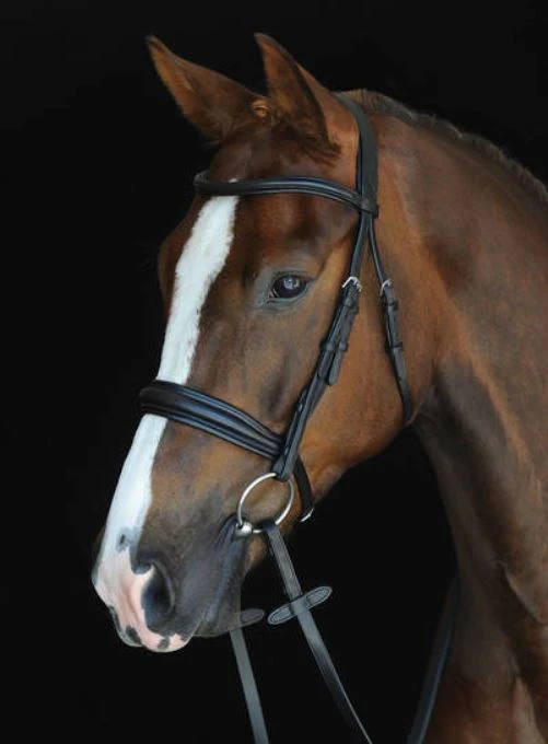Collegiate Mono Crown Padded Raised Cavesson Bridle Full / Brown