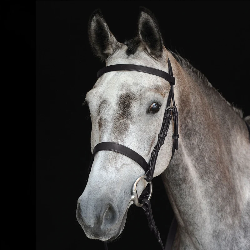 Collegiate Hunt Cavesson Bridle Warmblood / Black