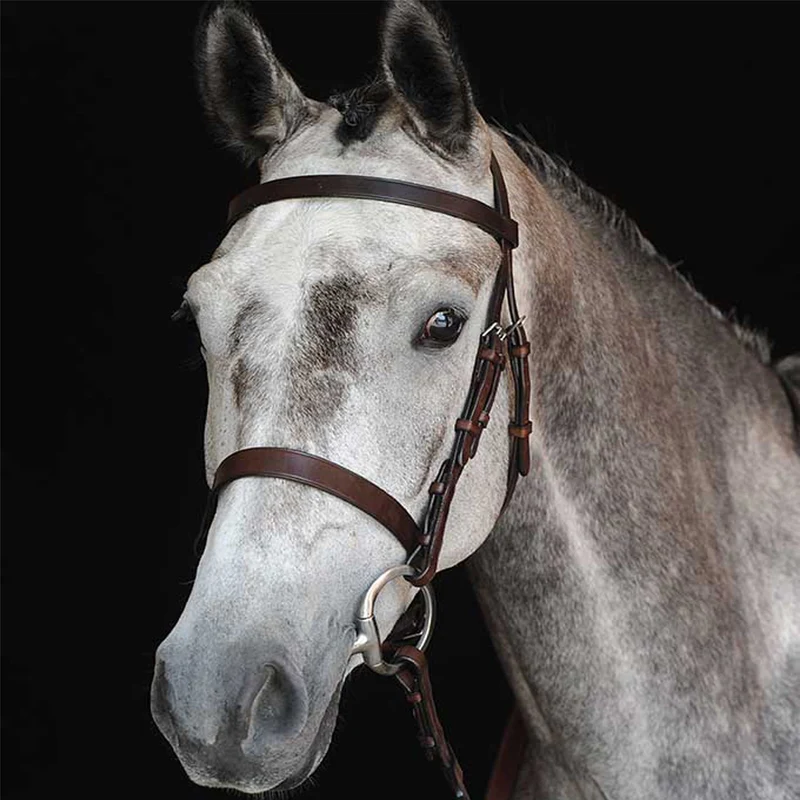 Collegiate Hunt Cavesson Bridle Full / Brown