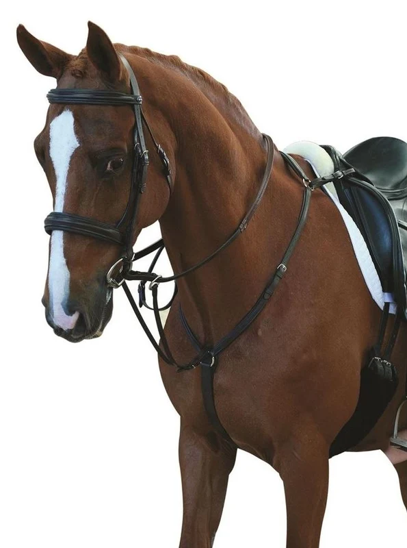 Collegiate Hunter Breast Plate Warmblood / Black
