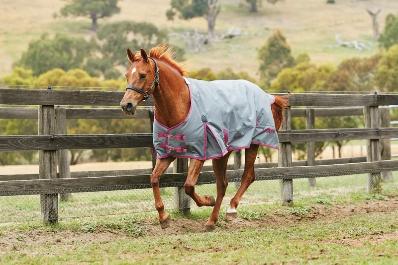 Saxon 1200D Standard Neck Heavy Turnout Blanket With Gusset ll Grey Rose / 60