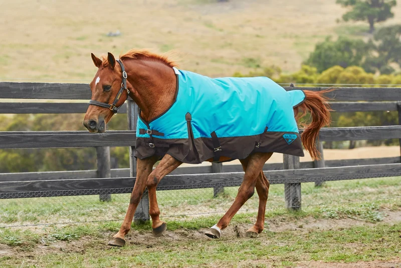 Saxon 1200D Standard Neck Heavy Turnout Blanket With Gusset ll Teal Brown / 75