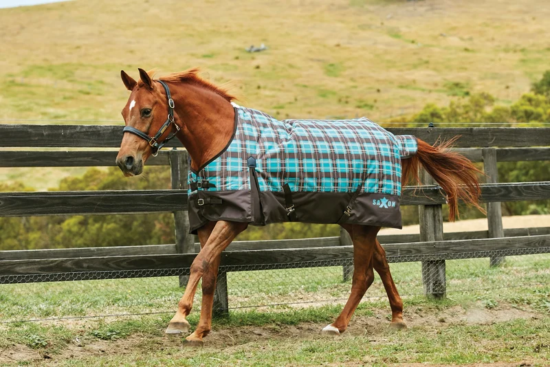 Saxon 1200D Standard Neck Heavy Turnout Blanket With Gusset ll Teal Plaid / 66