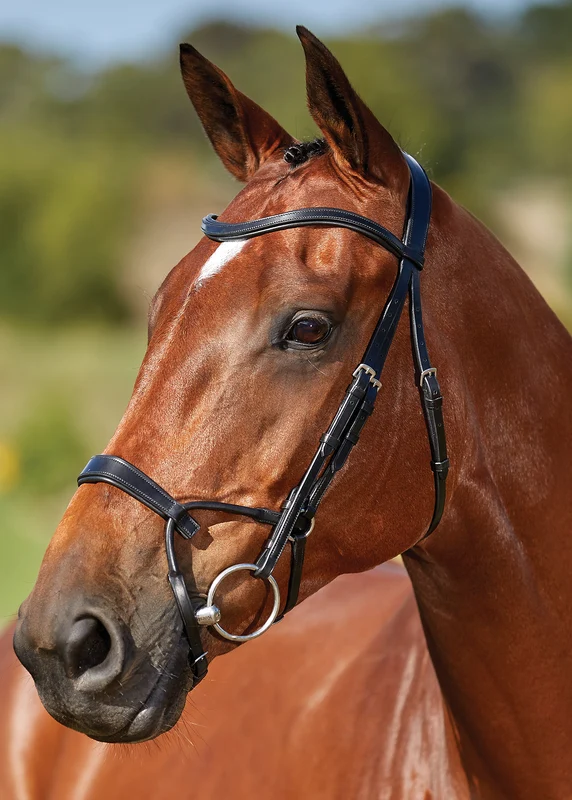 Collegiate® ComFiTec™ Training Bridle Black / Horse