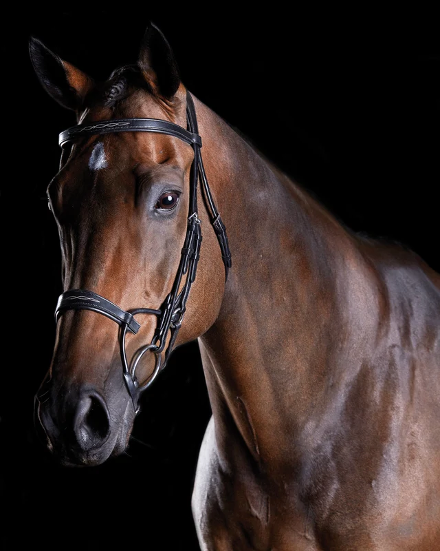 Collegiate® ComFiTec™ Fancy-Stitched Bridle Black / Horse