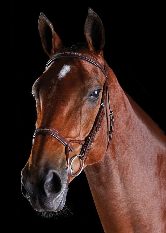 Collegiate® ComFiTec™ Fancy-Stitched Bridle Brown / Horse