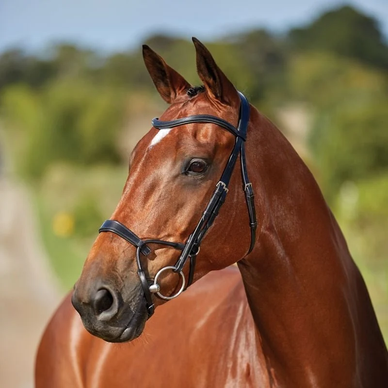 Collegiate ComFiTec Training Bridle Black / Warmblood