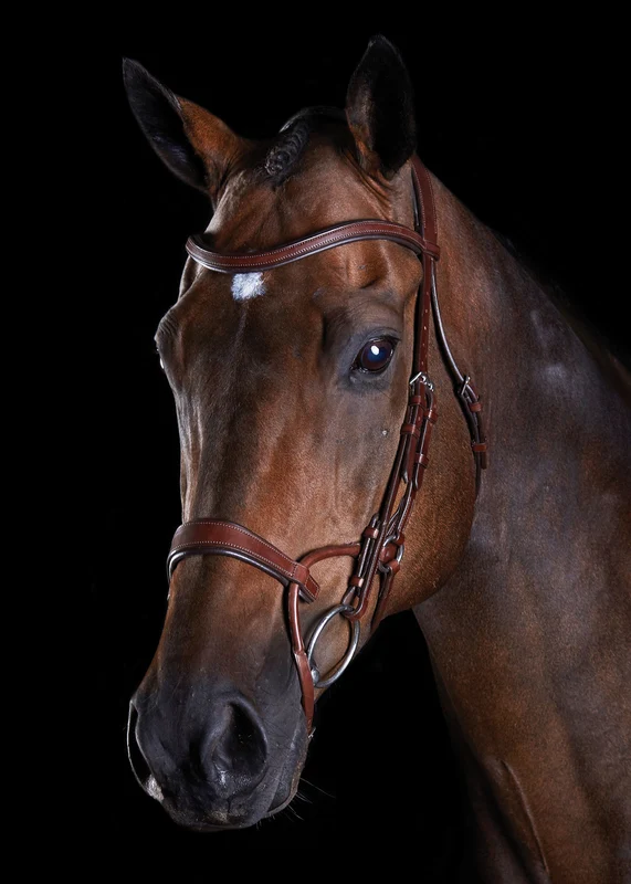 Collegiate® ComFiTec™ Training Bridle Brown / Warmblood