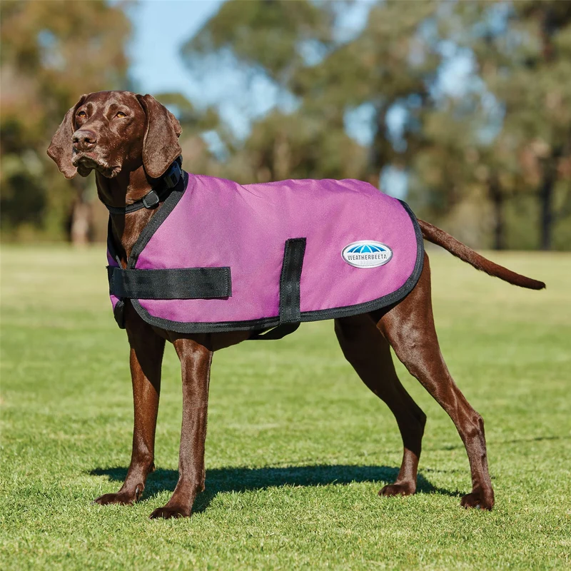 Weatherbeeta Comfitec Classic Dog Coat 30Cm / Pink