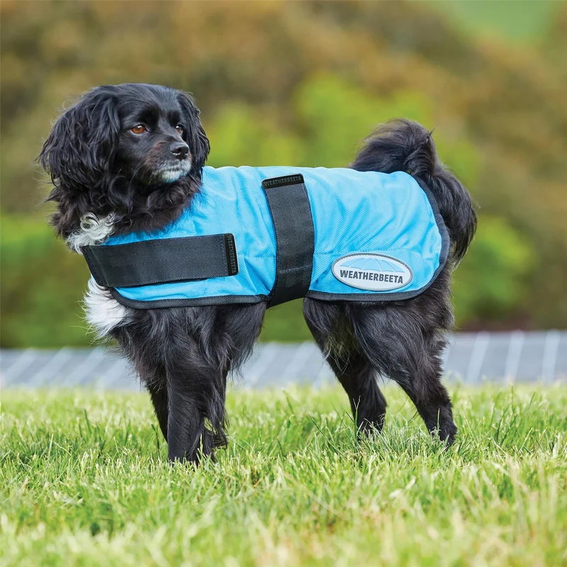 Weatherbeeta Therapy-Tec Cooling Dog Coat 25cm / Blue