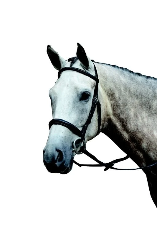 Collegiate Essential Cavesson Bridle Black / Cob