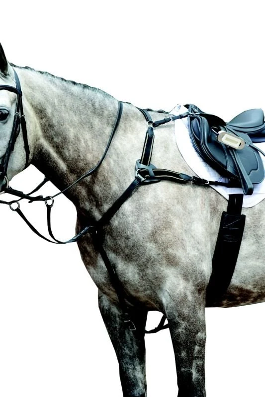 Collegiate Essential 5pt Breastplate Black / Full
