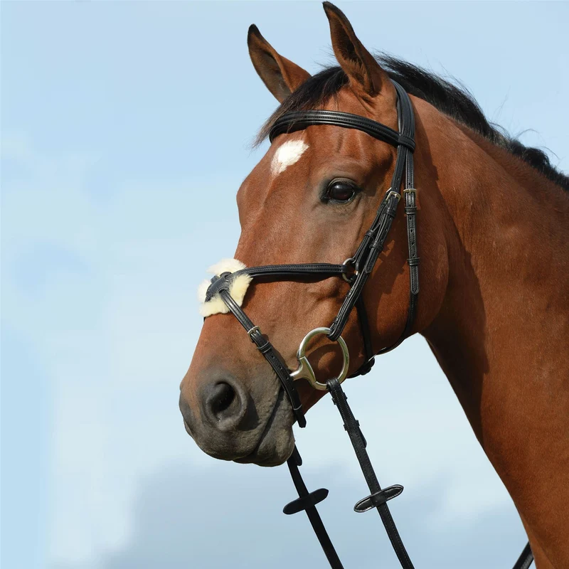 Collegiate Syntovia+ Padded Raised Figure 8 Bridle Warmblood / Black