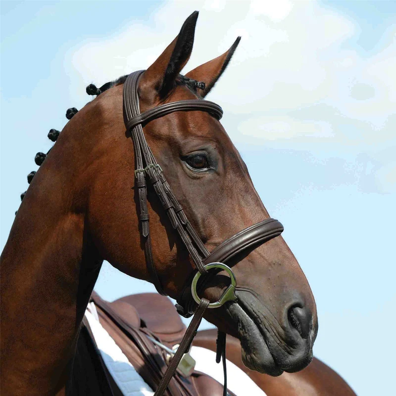 Collegiate Syntovia+ Padded Raised Cavesson Bridle Pony / Brown