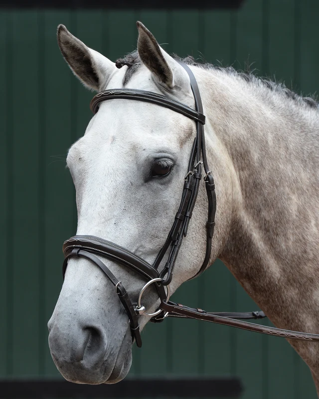 Collegiate® Essential Padded Raised Fancy-Stitched Flash Bridle Brown / Warmblood