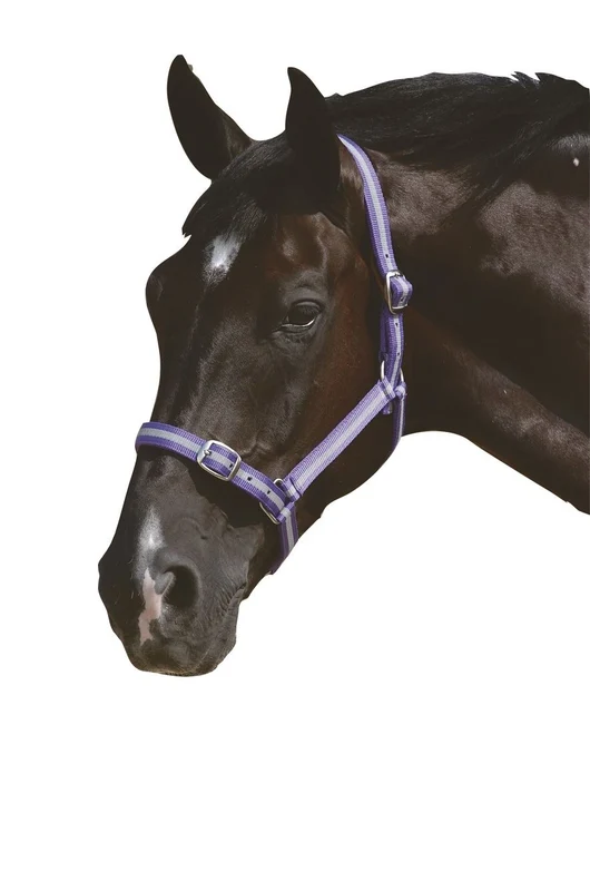 Roma Headcollar & Leadrope Set Full / Red/Navy
