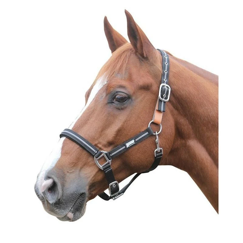 Roma Reflective Breakaway Halter Hunter / Full