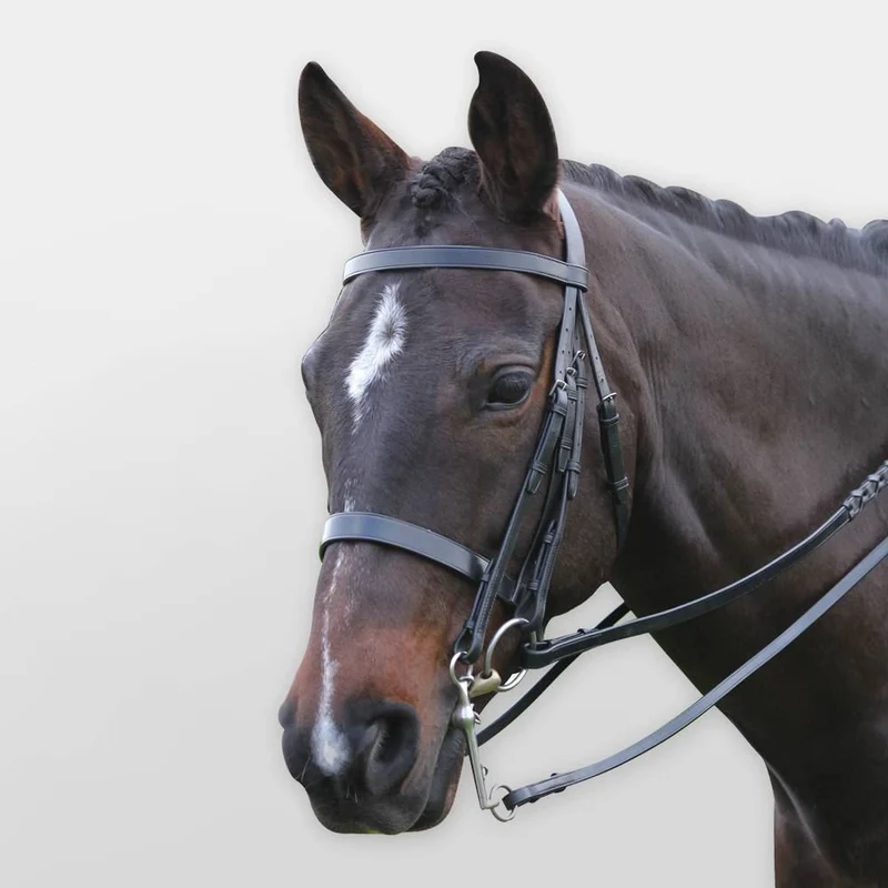 Kincade Show Weymouth Bridle Pony / Black