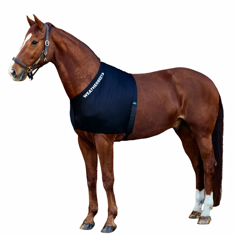 Weatherbeeta Stretch Shoulder Guard Black / Pony