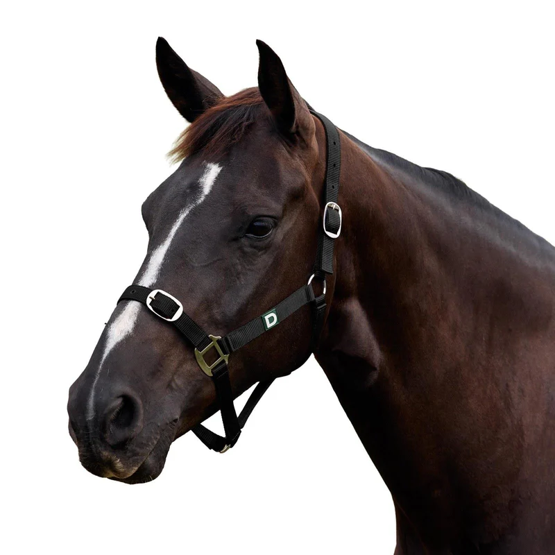 Dublin Everyday Adjustable Nylon Headcollar for Horses Foal / Black