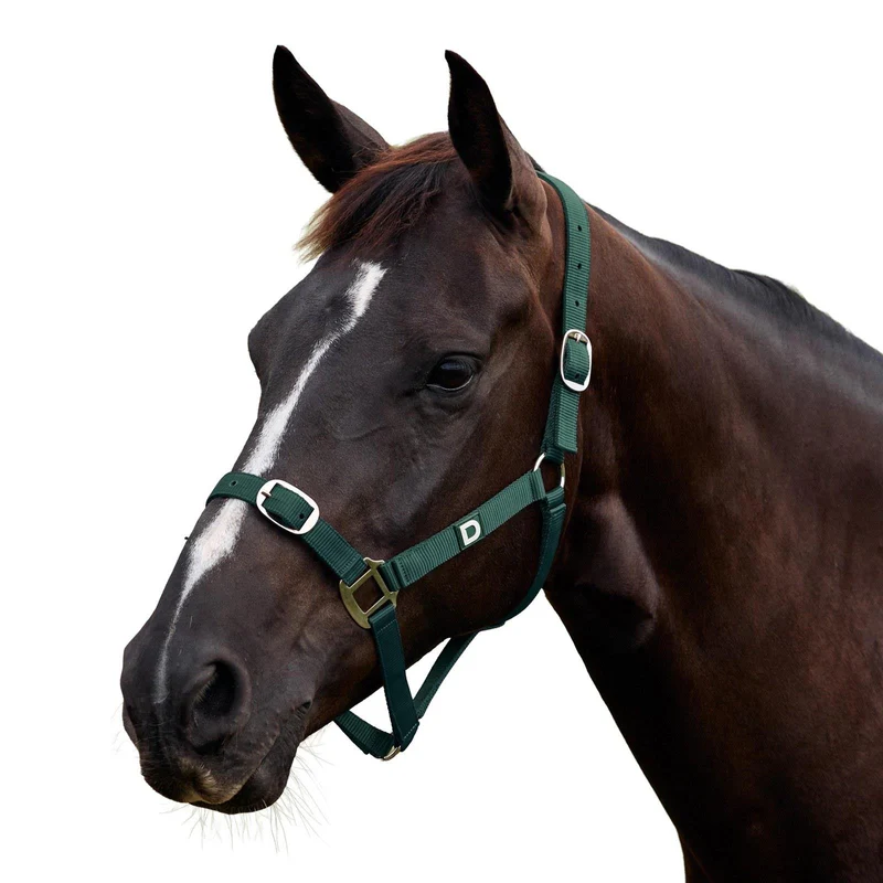 Dublin Everyday Adjustable Nylon Headcollar for Horses Full / Green