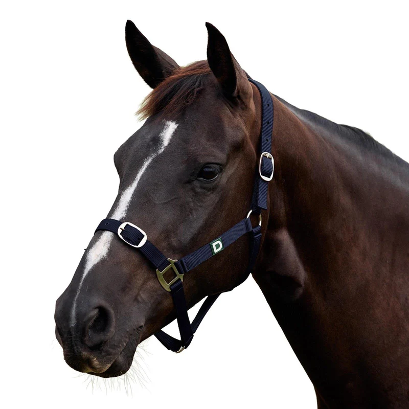 Dublin Everyday Adjustable Nylon Headcollar for Horses Foal / Navy