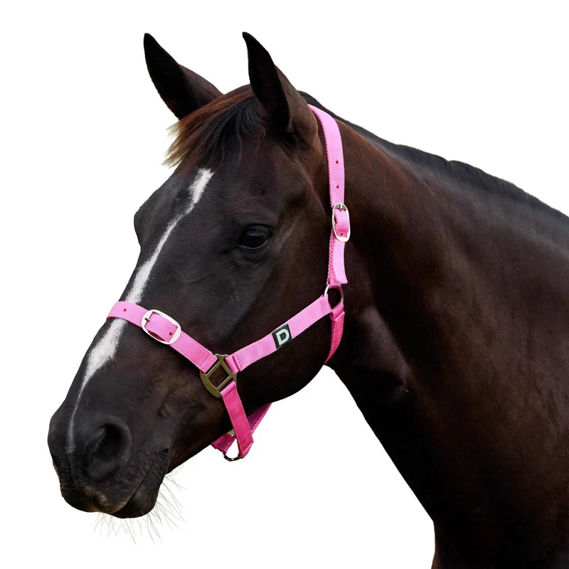 Dublin Everyday Adjustable Nylon Headcollar for Horses Shetland / Pink